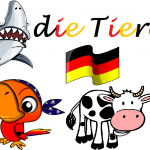 los animales en alemán die tiere